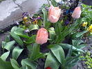 IMG_20160402_122219