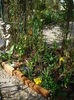 DSC00690