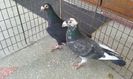 20160402_140106