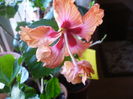 P1250596