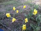 WIN_20160403_182716