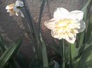 WIN_20160403_182606