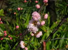 DSCN3262