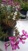 WP_20160401_09_50_12_Pro