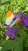 WP_20160402_15_28_21_Pro
