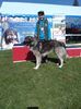 CAC, CACIB ,selectie si CCR