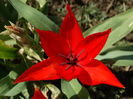 DSC05758