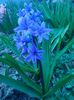 IMG_20160331_185917