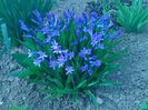 IMG_20160404_153220