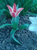IMG_20160404_153252