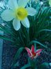 IMG_20160404_153301