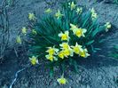 IMG_20160404_153421