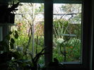 DSCN4059
