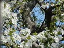 DSCN4063