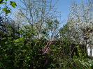 DSCN4101