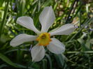 DSCN4103