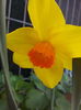IMG_20160403_100402