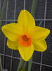 IMG_20160403_100425
