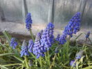 IMG_20160403_100502