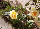IMG_20160403_100606