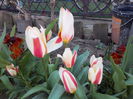 IMG_20160403_100634