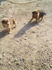 IMG_20160405_084819