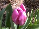 030420162903