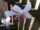 030420162915