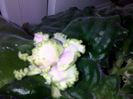 040420162917