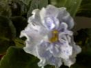 040420162921