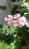 20160405_143034
