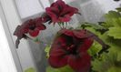 20160405_143201