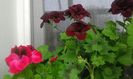 20160405_143232
