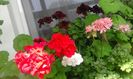 20160405_143329