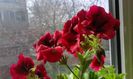 20160405_143410