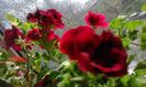 20160405_143429