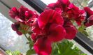 20160405_143452