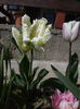 IMG_05042016_154628