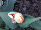 050420162942