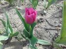 20160406_103856