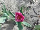 20160406_103852