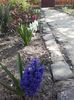 20160405_105355