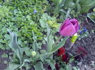 IMG_20160406_104118