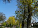 DSCN1905
