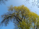 DSCN1908