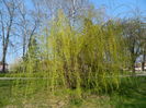 DSCN1909