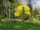 DSCN1919