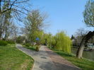 DSCN1920