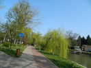 DSCN1921