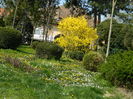 DSCN1922
